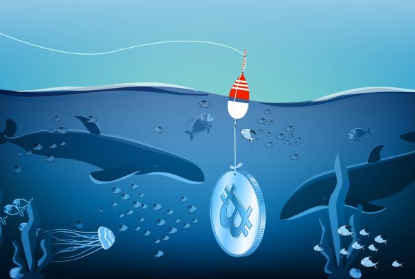 Qué son las ballenas en criptomonedas